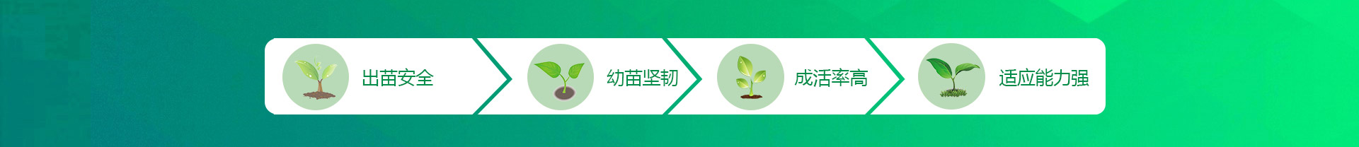 横幅01.jpg