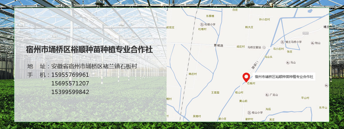 地址.jpg